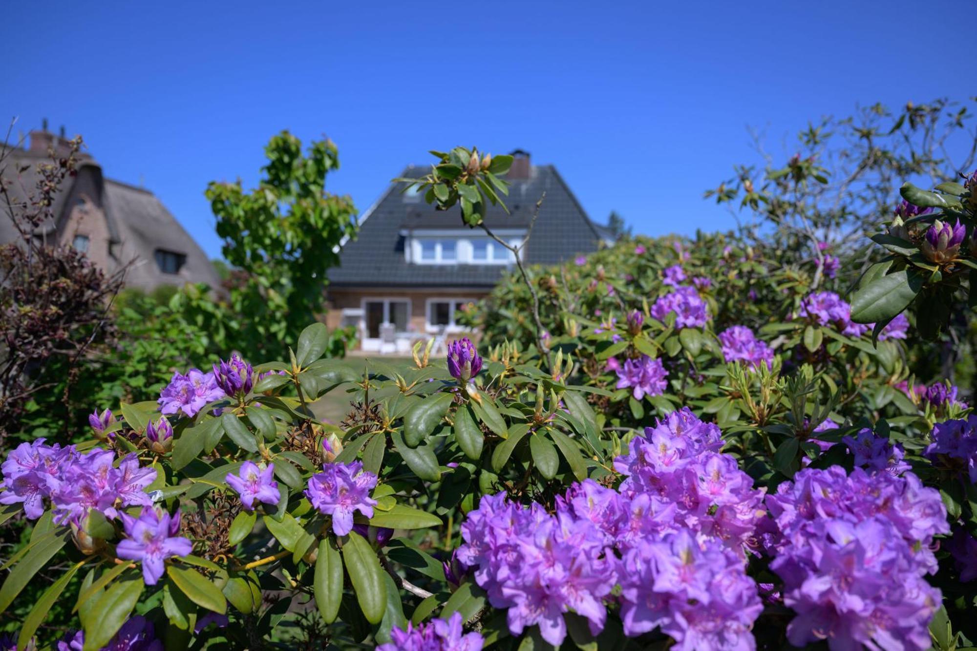 Apartment Haus Westsee Eg Mit Garten